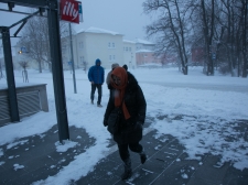 zima_-_valter_leban-6784