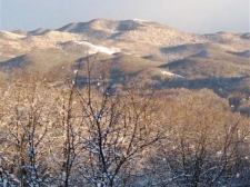 sneg-01