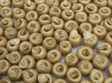 jama_-_zlato_jabolko__-_valter_leban-7969