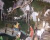 img_3704 img_3704