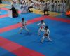 karate 1 karate 1