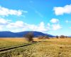 SNEMANJE MARUŠA POLJE 01 FOTO LJUBO VUKELIČ
